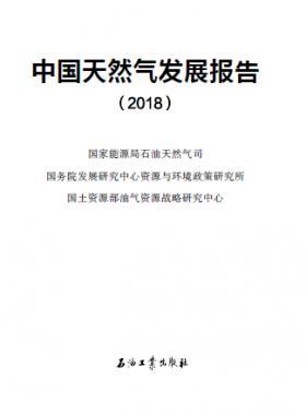 中國(guó)天然氣發(fā)展報(bào)告（2018）白皮書(shū)中英文版