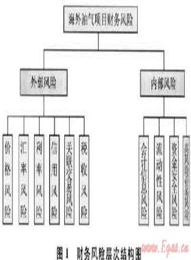 海外油氣項目財務(wù)風(fēng)險分析及對策