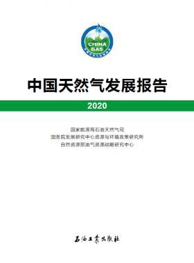 2020中國(guó)天然氣發(fā)展報(bào)告（含2017、2018、2019、2020）